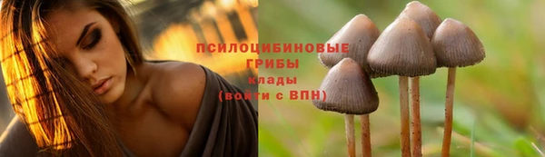 MDMA Premium VHQ Абинск