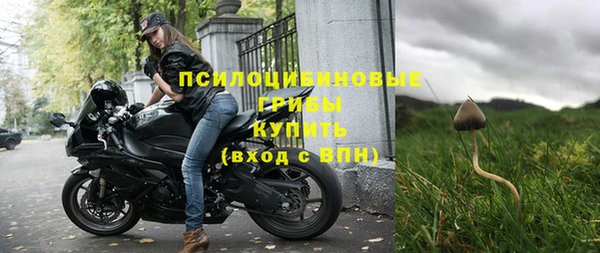 прущий лед Абаза