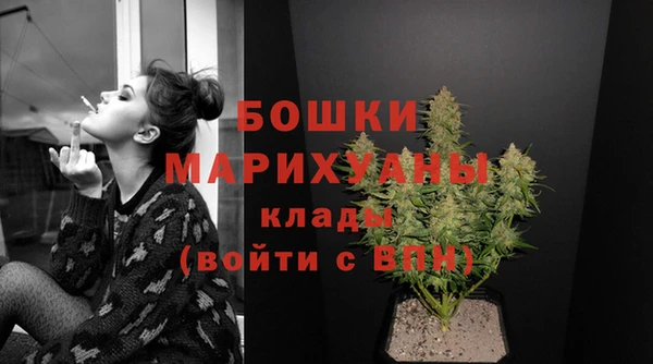 прущий лед Абаза