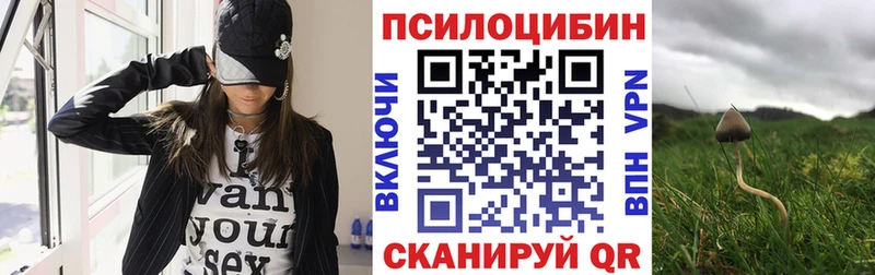 продажа наркотиков  Чкаловск  Галлюциногенные грибы мухоморы 